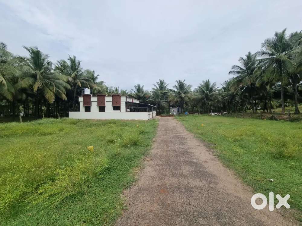 3 cent and for sale in kinathukadavu