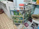 Shop Counter, Rack