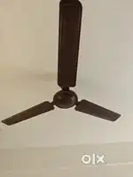 Crompton ceiling fan