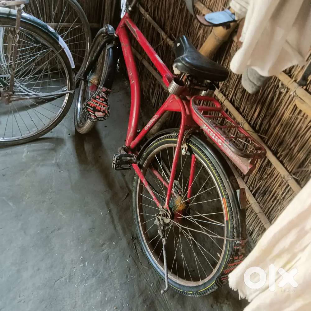Cycle hai renjer