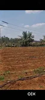 Farm Land with Poly House