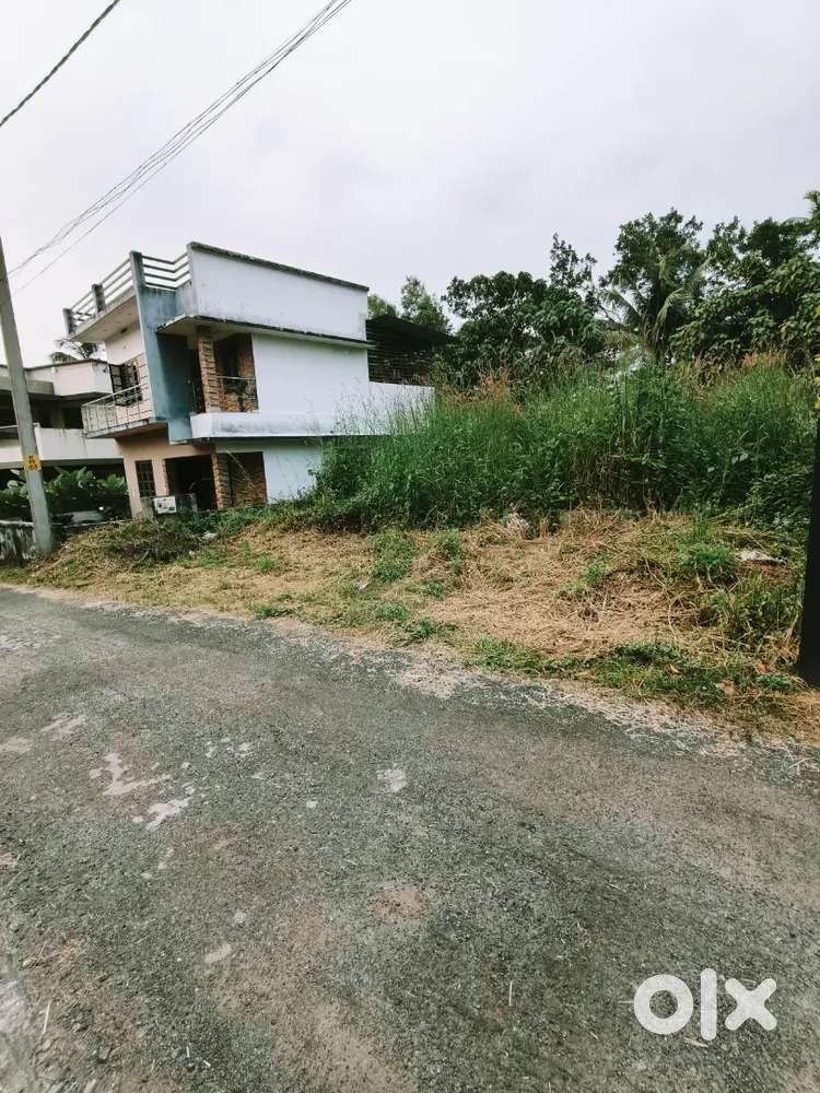 വില്ല പ്ലോട്ടുകൾ 5 cent ചോറ്റാനിക്കരയിൽ