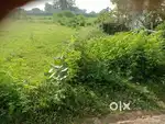 Bjuwa chuki chinipur road
