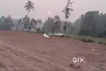 Land sales