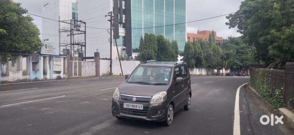 Maruti Suzuki Wagon R Flex Fuel 2013
