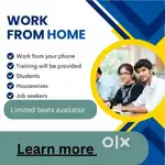 Work from home job