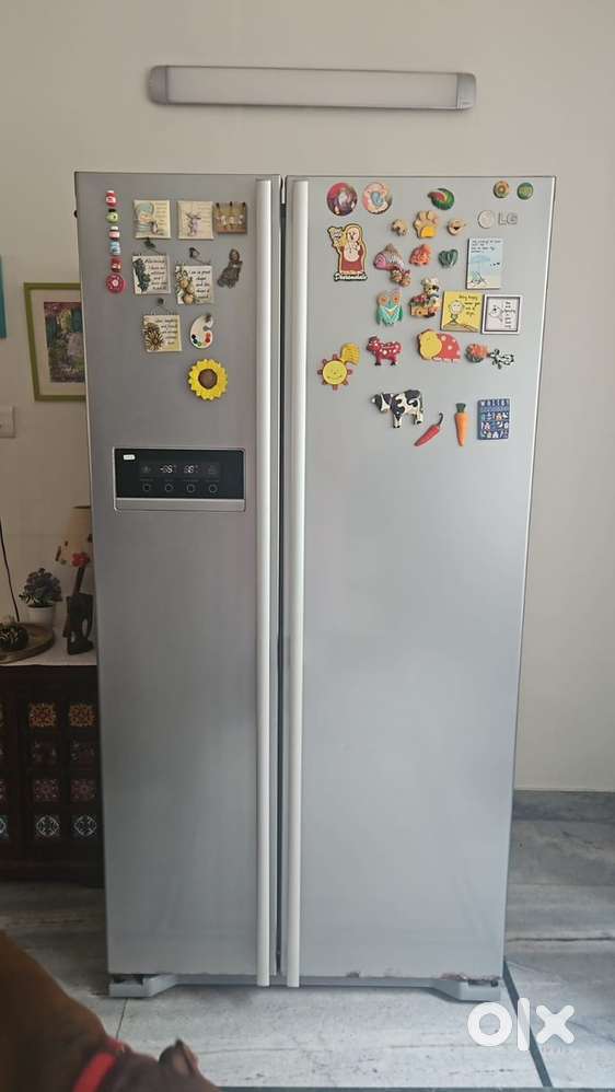 LG double door fridge