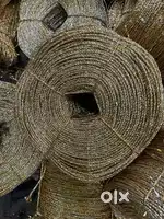 Chamkila gold Rope and scrap film