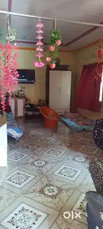 Rent for bachelor's