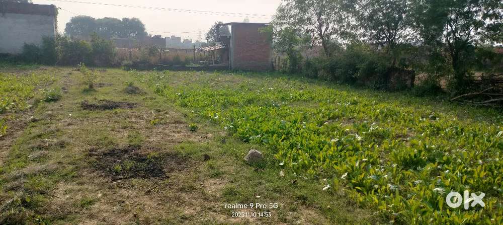 दाखिल खारिज 800 SQFT प्लॉट मात्र 9,60,000 में लोन और नगद दोनों सुविधा