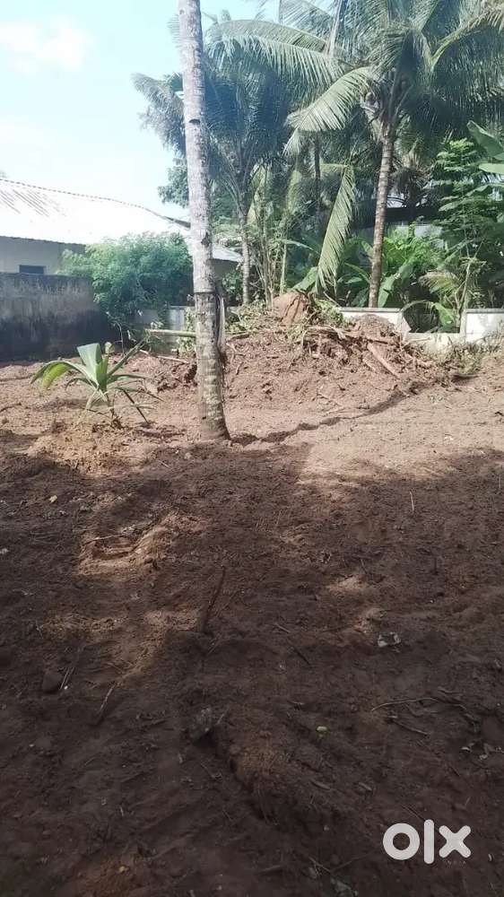 8 cent kollam  Vallikeezhu