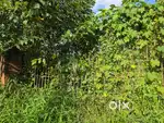 Land for sale in PALA TOWN-60CENTS
