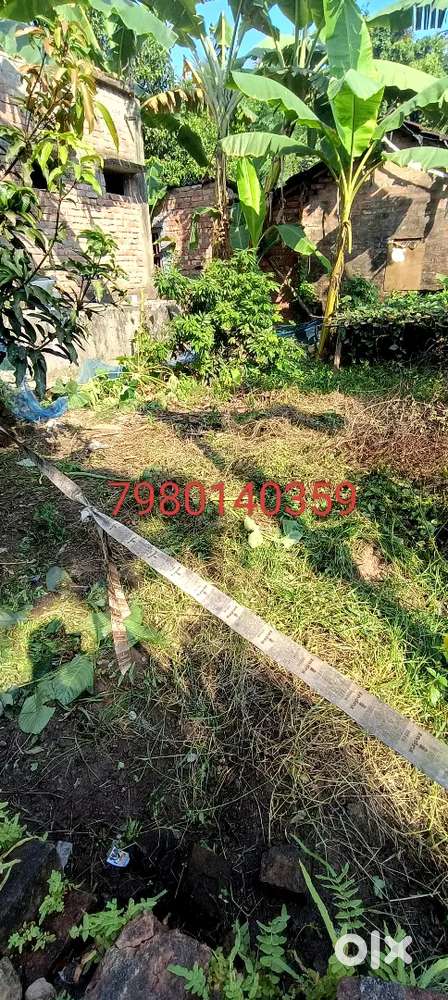 Sweetable fo 2bhk electric pole tap water available