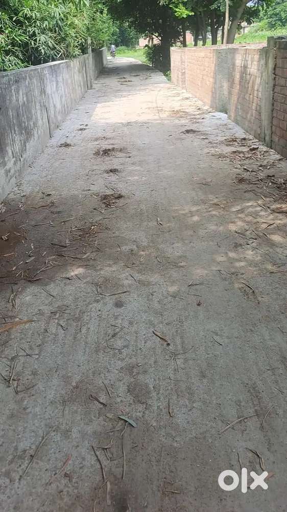 Plot for sale near vikas vidyalaya school dumri