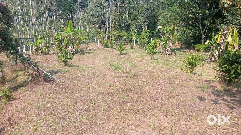 SH Road Frontage East-Facing Plot For Sale in Meenangadi Wayanad