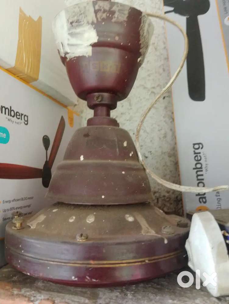 Usha farratta EX pedestal fan