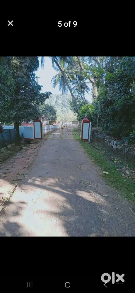 10 acre level plot. 1000 areca Belan karkala