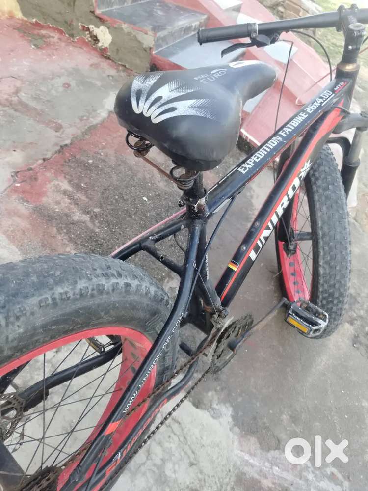 Fat bike unirox