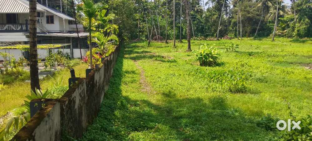 Highway 70 metr 6.5 metr wide road front  koonammavu