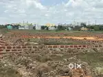 Plot for sale in bhubaneswar near AIIMS HOSPITAL