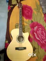 Acoustic Guitar (Hertz HZA 4200)