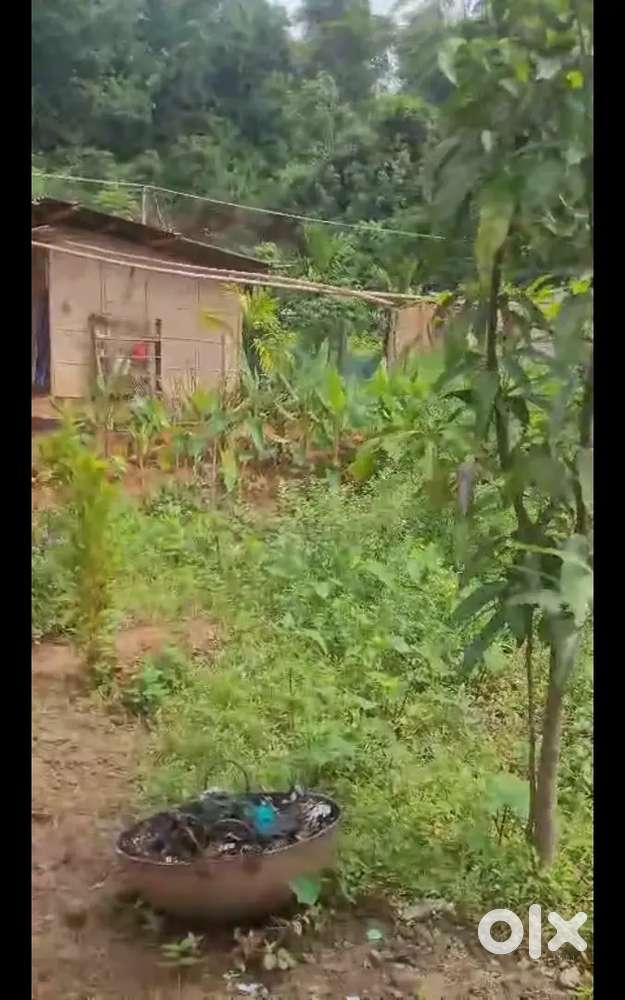 3kotha10lecha miyadi patta land for sale in Tribal land