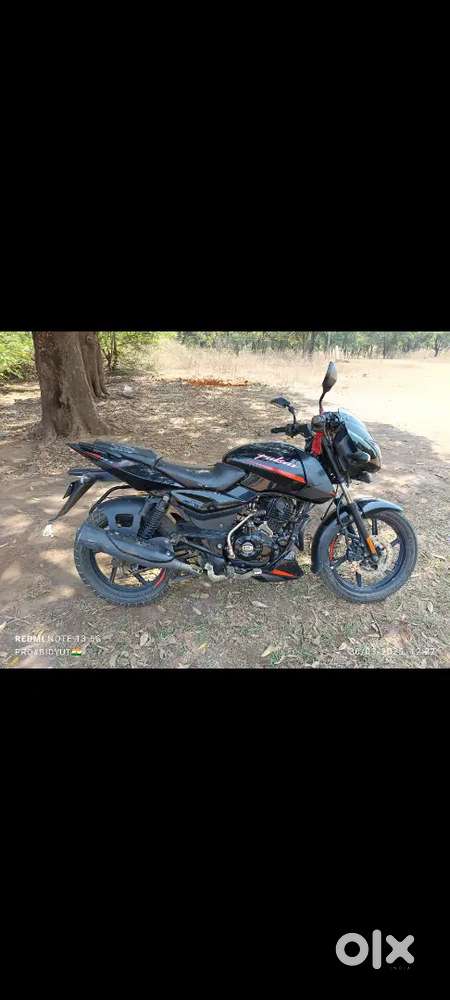Pulsar 125 Red and black like new condition