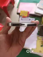 15 pro max