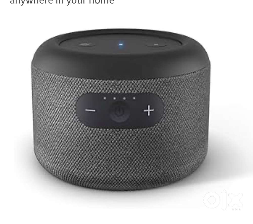 Amazon echo input