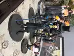 Action Figures