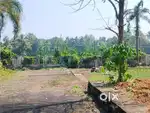 6.300 cent of Land near Angamaly Basilica church