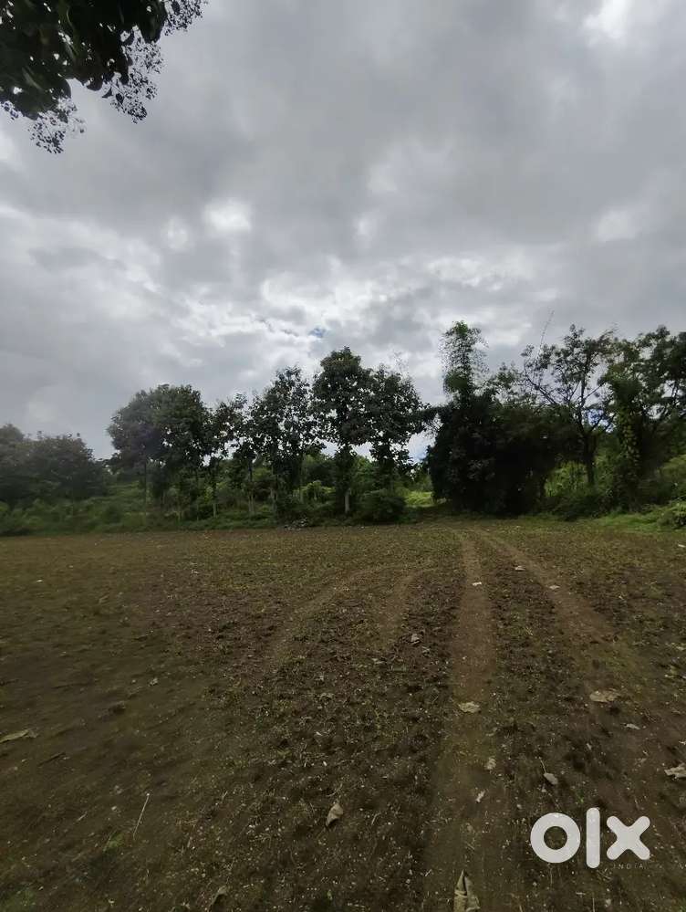 4 ekkar khet hai Dina hai interesting people call and message please