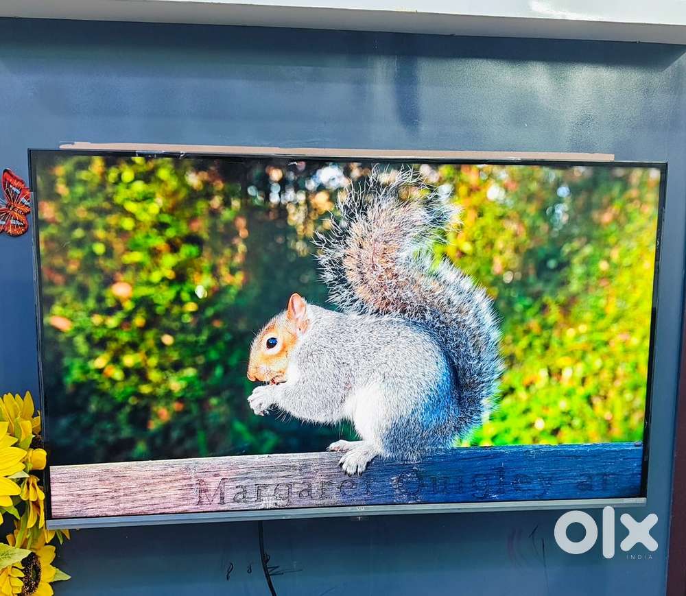 Perfectly in working condition 43 inch tv