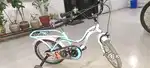 Pink n blue color hero cycle