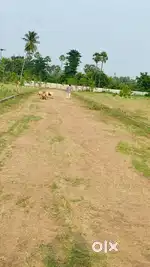 Vasundhara garden