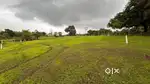 Agriculture plot