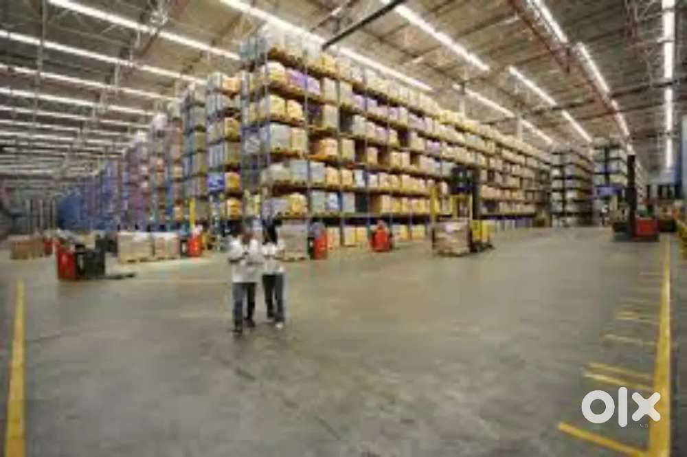Logistics Talent Wanted: Opportunities for 2025 Pass-Out Students