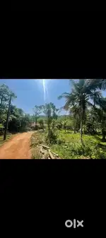 10 cent land for sale in padiyoor Poovam
