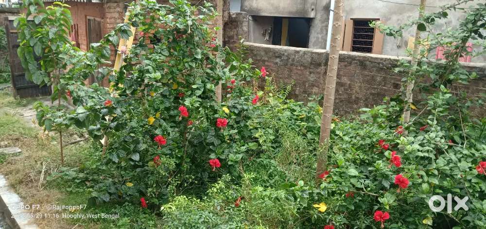 11 chatak 22 sqft small land for godown purpose on sale