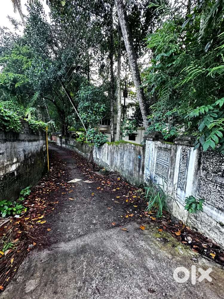 47 CENT COMMERCIAL LAND SALE IN PIPINMOODU