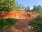 35 CENT PLOT 2.50 LAKHS PER CENT ( PRICE NEGOTIABLE)