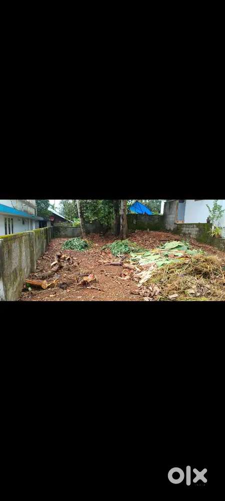 5 CENT RESIDENTIAL PLOT SALE AT KALAMASSERY