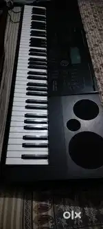 Casio WK6600 Professional Keyboard