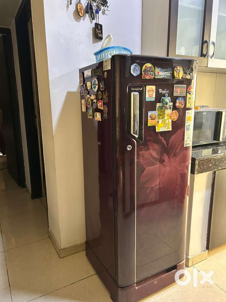 Whirlpool 215 L Refrigerator