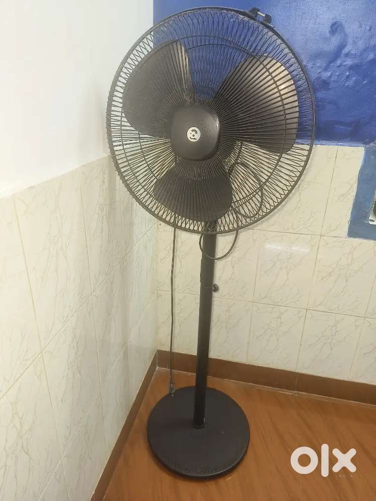 Automberg fan