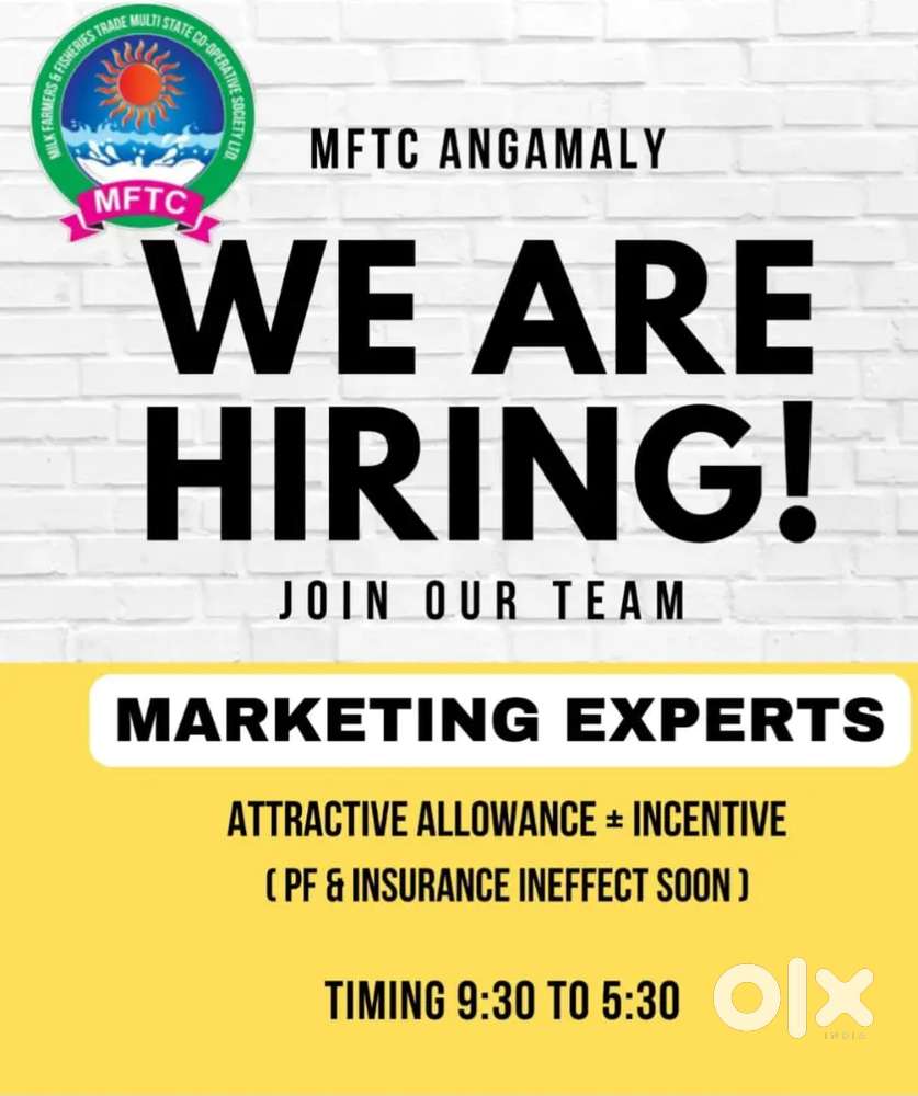 Marketing Executive Officer