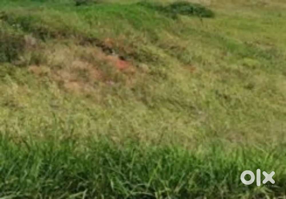 Empty land for sale near arumanai