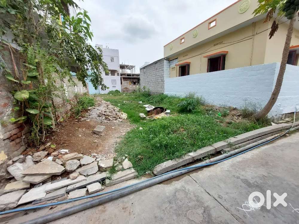 118 Yards Plot In Tenali