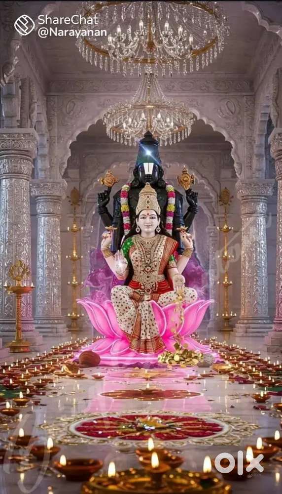 Accountant Male with Tally experience and Email drafting knowledge