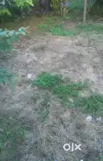 1500sqft plot urgent selling